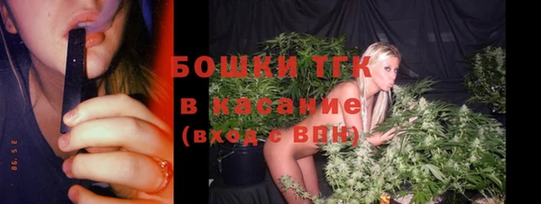 гашик Дмитровск