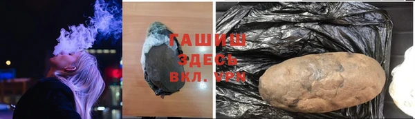 гашик Дмитровск