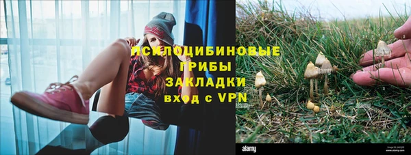 МДПВ Дмитров